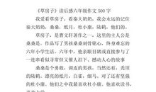 《未来时光机》读后感 四年级读后感作文500字