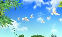 高三写景作文：掉进夕阳里的生命_750字