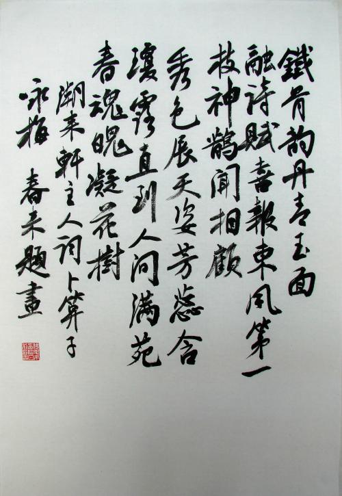 梅花 赞美梅花的作文800字