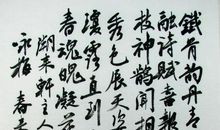 梅花 赞美梅花的作文800字