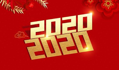 拜年 拜年日记500字