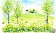 校园赏树 小学生写景作文