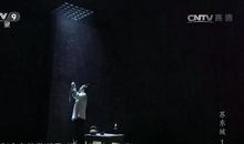 苏轼 小学生想象美文300字