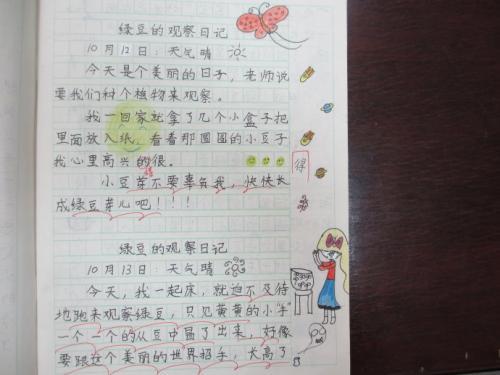 小蜗牛观察日记 观察蜗牛日记
