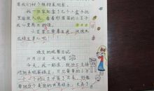 小蜗牛观察日记 观察蜗牛日记