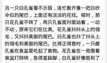 游览云南石林 四年级旅游作文400字