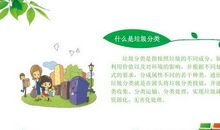 垃圾分类 关于垃圾分类的环保作文800字