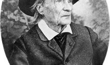 《昆虫记》读后感：坚持的力量