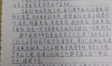 路人与交警 小学生叙事作文400字