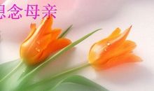 秋雨情思 思念已故母亲的作文1100字