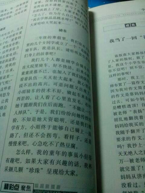 人生的价值 初中生随笔作文600字