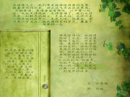 走近白落梅 写一个我喜欢的作者600字作文