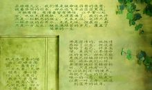 走近白落梅 写一个我喜欢的作者600字作文