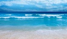 观海 大海的风采700字作文