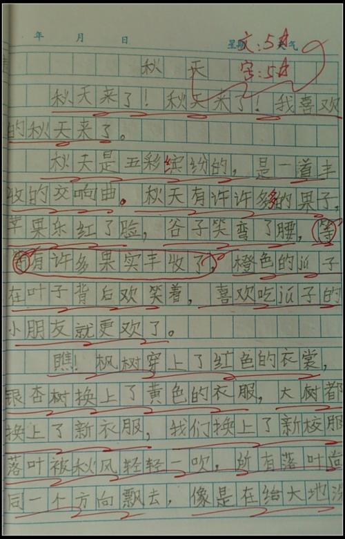 关于动物的小学作文怎么写