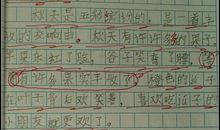 关于动物的小学作文怎么写