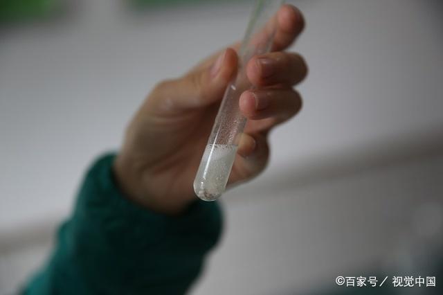 《技术的本质》读后感 1