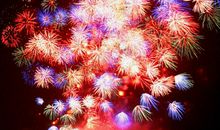 勇敢地绽放全部的美丽材料作文及佳作升格