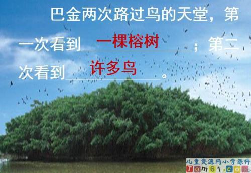 “鸟的天堂”导游词