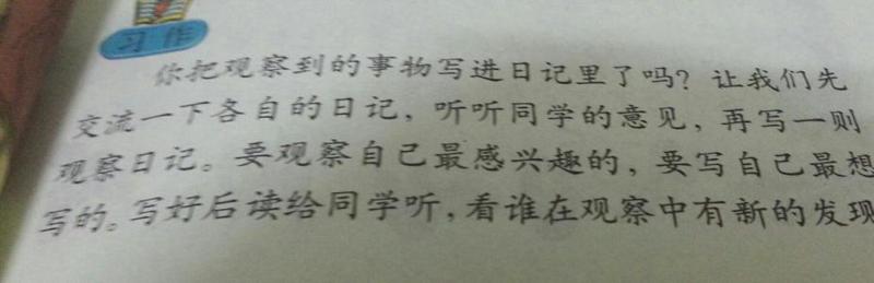 蚂蚁 四年级观察日记一则400字