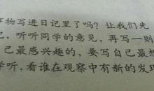 蚂蚁 四年级观察日记一则400字