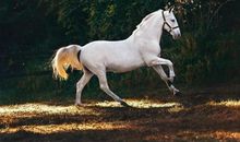 2020年1月《诗刊》读后感丨王璞