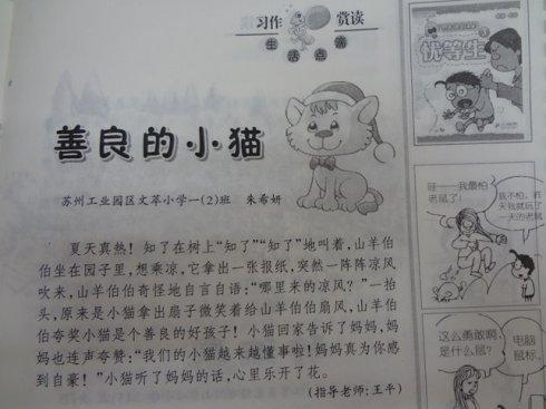 我养的小猫 我的猫300字作文