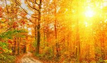 凉秋 有关秋天的优美散文800字