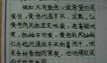 假如风有颜色 想象风的颜色作文400字