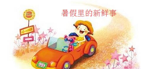 暑假里的新鲜事作文