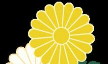 学员作文|李陈妍：传家之宝