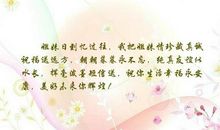她比烟花更灿烂 姐妹情作文600字