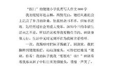 我的姥姥小学生作文