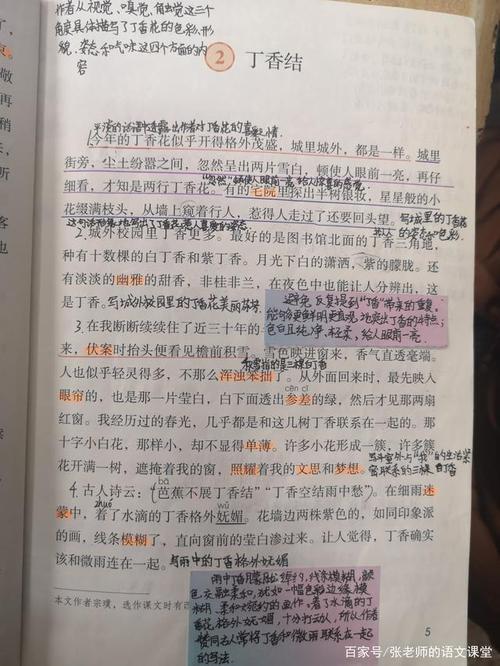 解结 课文《丁香结》读后感400字