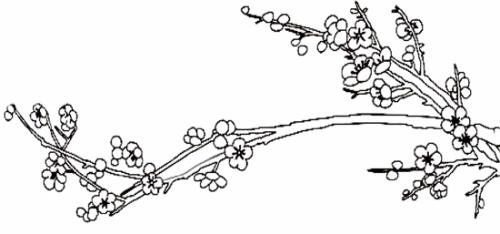 东湖寻梅 赏梅作文400字