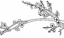 东湖寻梅 赏梅作文400字