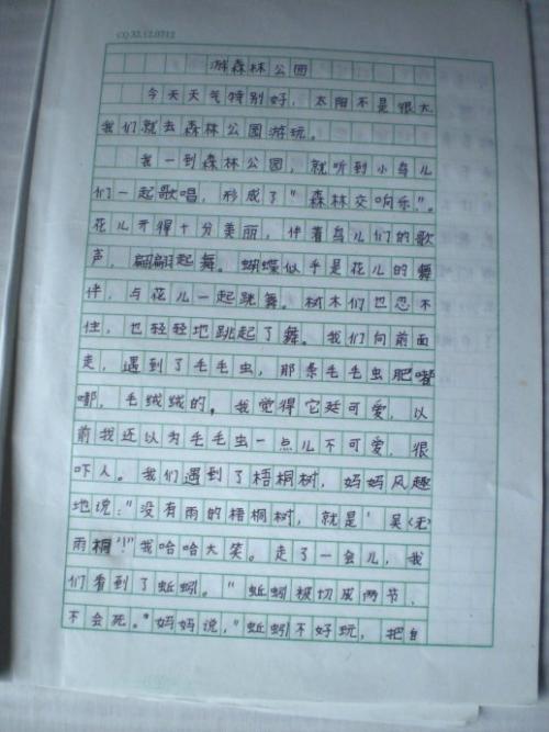 森林公园作文300字