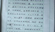 森林公园作文300字