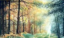 中考阅卷老师最反感的作文排行榜，必看！