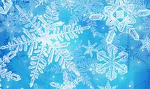 飞舞雪花，我的最爱 赞美雪花的作文500字