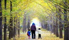 潜入岁月深处散文