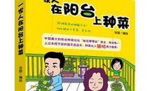 在阳台种东西也可以写作文？ | 学科作文练写手册 科学作文：种子发芽实验