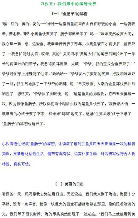 庆元旦的作文500字范文 7