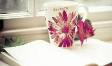 作文分类素材示例