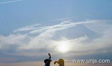 小学生暑假的收获作文