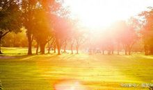 初一600字作文：阳光