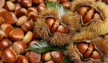 原创 初中优秀作文：《板栗店的秘密》