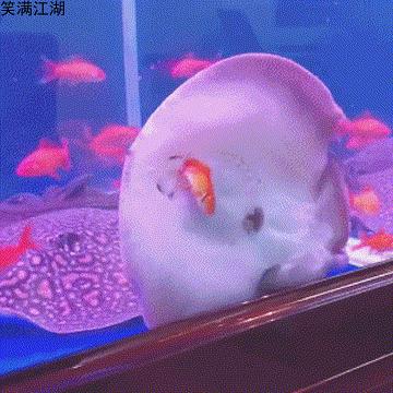 幽默笑话：考试我写了一篇英语作文，被全年级的英语老师阅读过