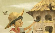 关于草房子的读书笔记700字