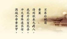 【七月浅谈】你是岁月里的恢弘诗篇_900字